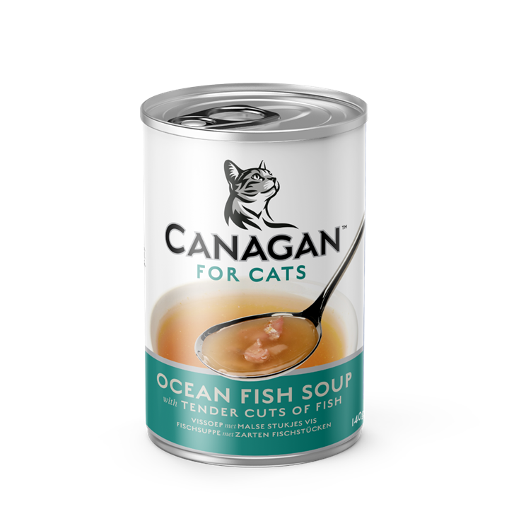 Soupe de poisson océanique